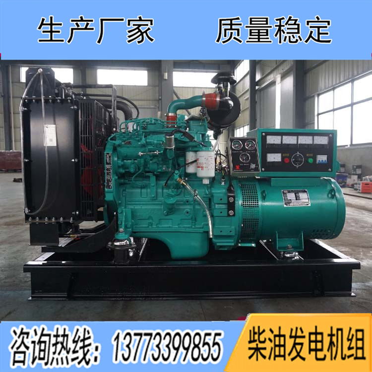 康明斯動力配套20千瓦柴油發(fā)電機組4B3.9-G1