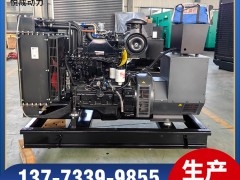 4BTA3.9-G11東風(fēng)康明斯50KW柴油發(fā)電機組